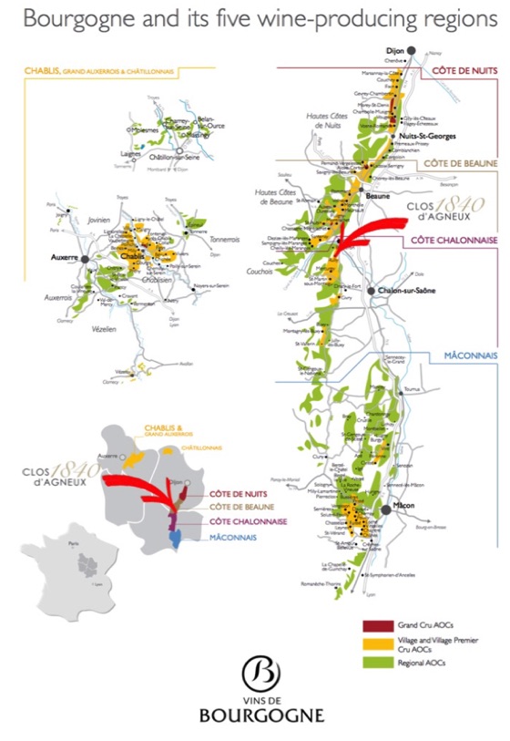 Burgundy Wine producing Regions